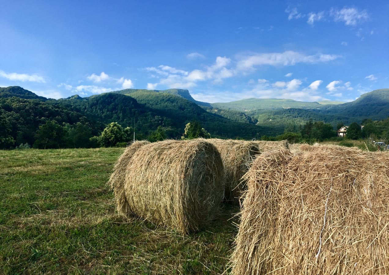 Locanda Centolaghi Ξενοδοχείο Valditacca Εξωτερικό φωτογραφία